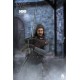 Game of Thrones Action Figure 1/6 Eddard Stark 32 cm